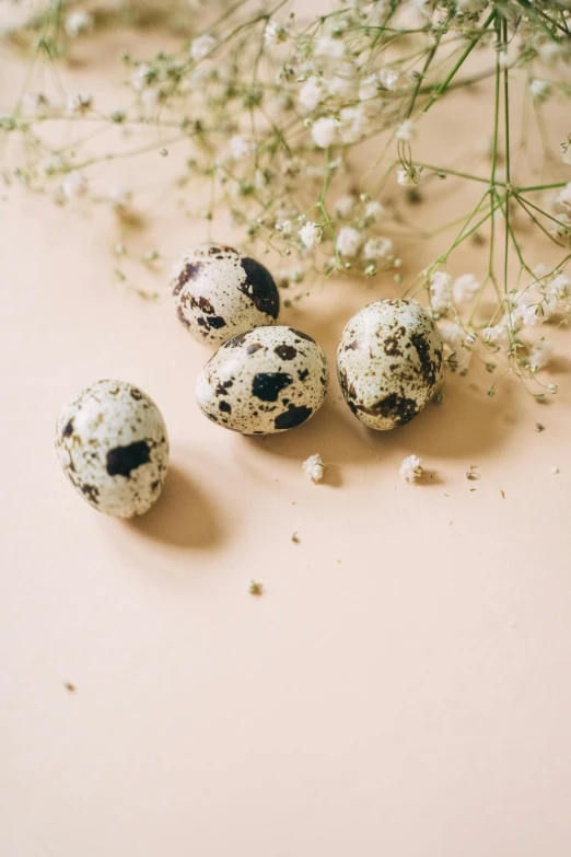 quails and baby's breath flowers on a table, trending on unsplash, baroque, eggs, white with black spots, thumbnail, beans