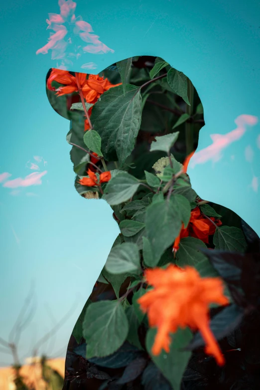 a person wearing a hood covered in leaves, an album cover, inspired by Alberto Seveso, pexels contest winner, silhouette of a man, subtropical flowers and plants, anaglyph effect, profile image