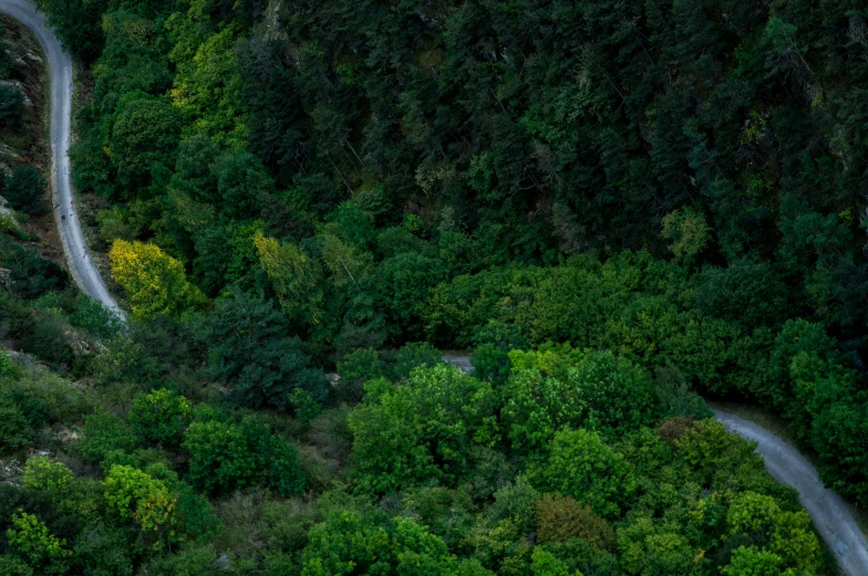 an aerial view of a winding mountain road, an album cover, by Adam Marczyński, hurufiyya, overgrown in a thick forest, dark green, full frame image, in between a gorge