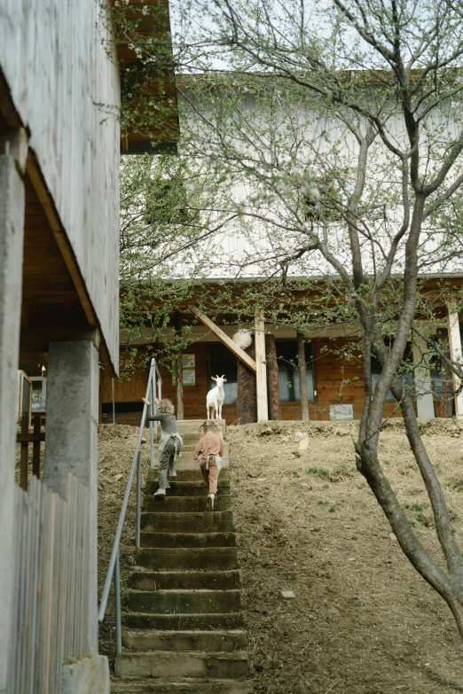 a person walking up a set of stairs, huts, karolina cummings, farmhouse, low quality photograph
