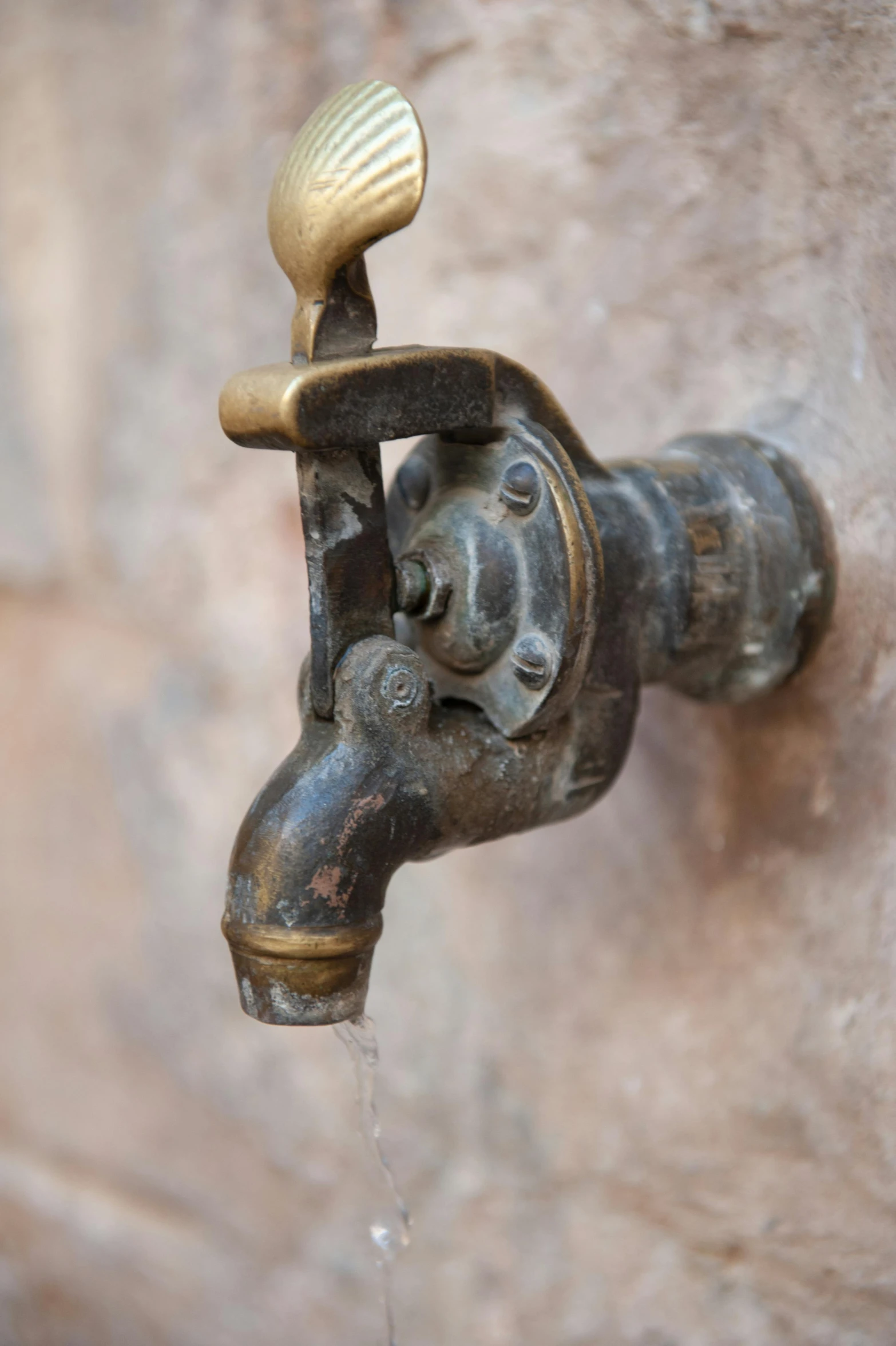 a close up of a faucet with water coming out of it, by Jan Kupecký, renaissance, rust, moroccan, brown, tlaquepaque