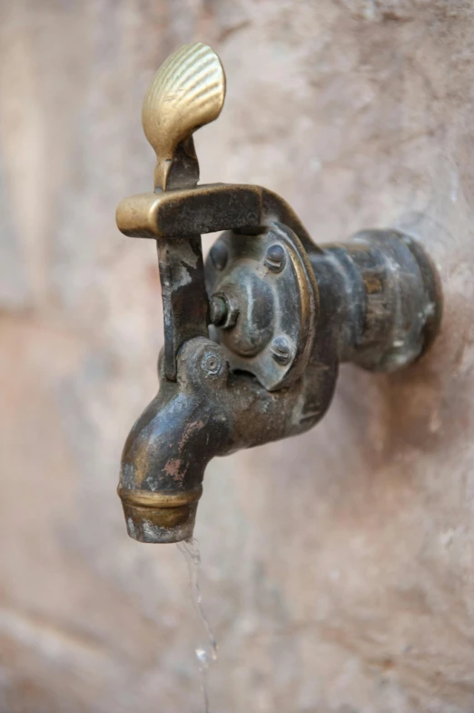 a close up of a faucet with water coming out of it, by Jan Kupecký, renaissance, rust, moroccan, brown, tlaquepaque