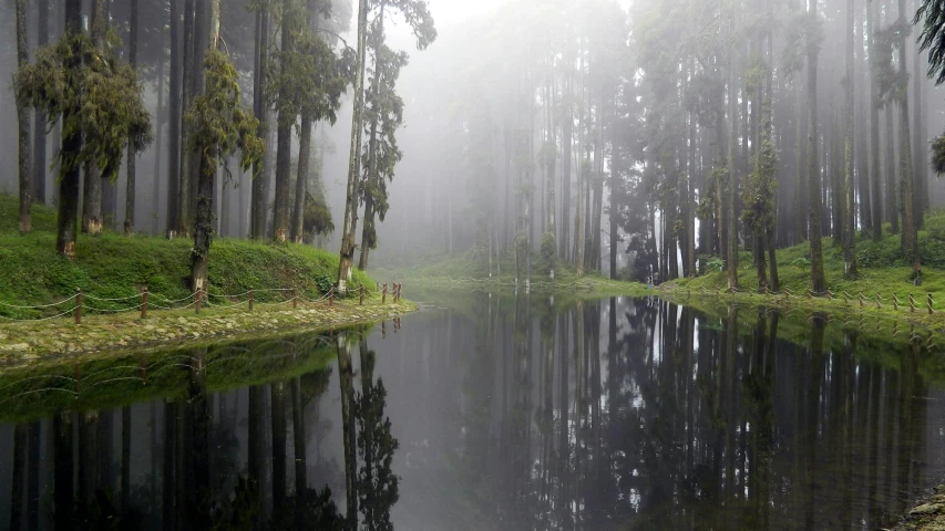 a body of water surrounded by trees on a foggy day, by Sunil Das, hurufiyya, reflected in giant mirror, tawa trees, grey