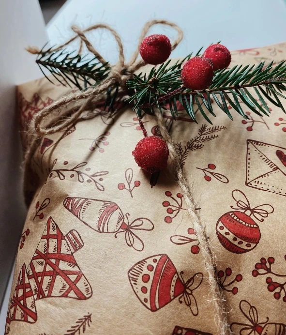 a christmas present wrapped in brown paper and tied with twine, an album cover, pexels, folk art, closeup - view, ornamented, ilustration, pine