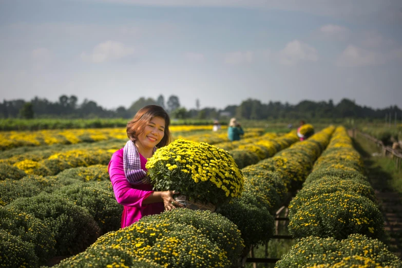 a woman holding a bunch of yellow flowers, inspired by Ruth Jên, pexels contest winner, chrysanthemum eos-1d, farming, hangzhou, avatar image