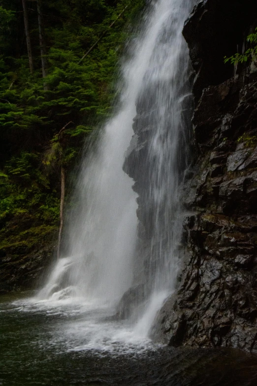 a waterfall in the middle of a lush green forest, unsplash, hurufiyya, british columbia, close-up!!!!!, 3/4 front view, hestiasula head