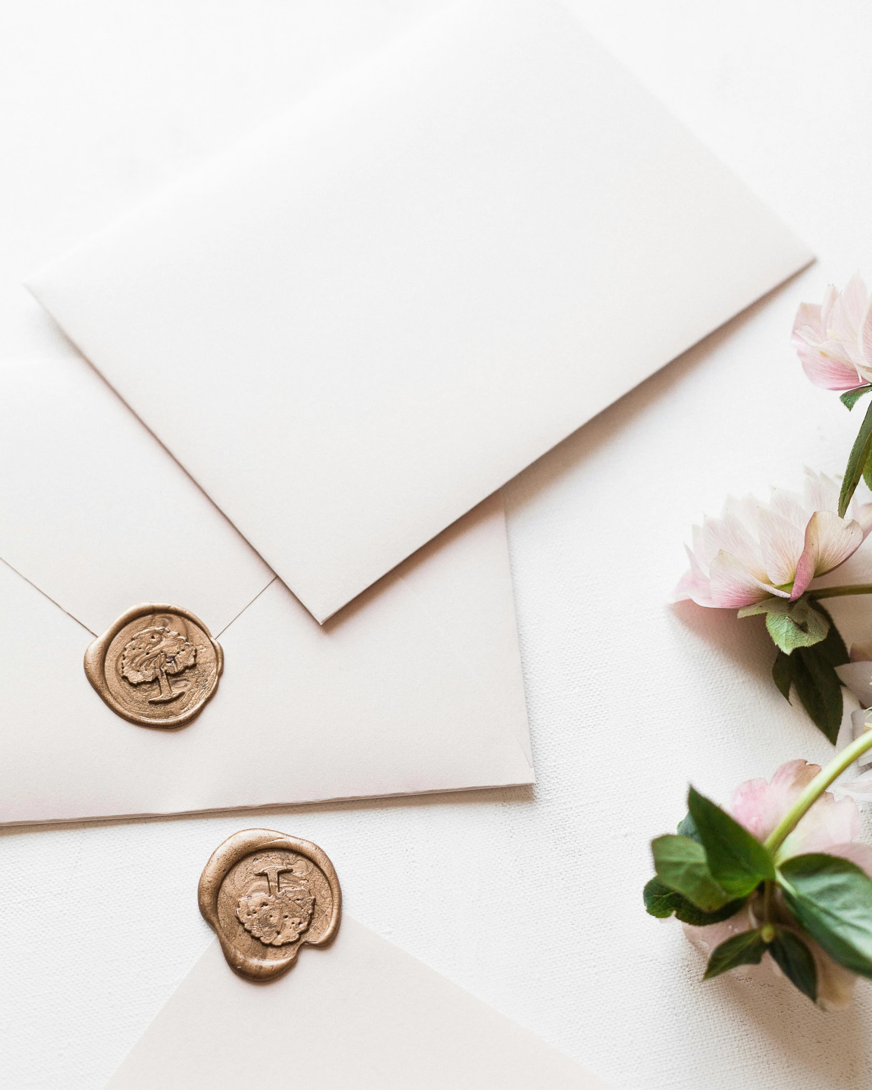 a couple of envelopes sitting on top of a table, by Julia Pishtar, pexels contest winner, private press, gold flowers, clean white background, seals, made of bronze