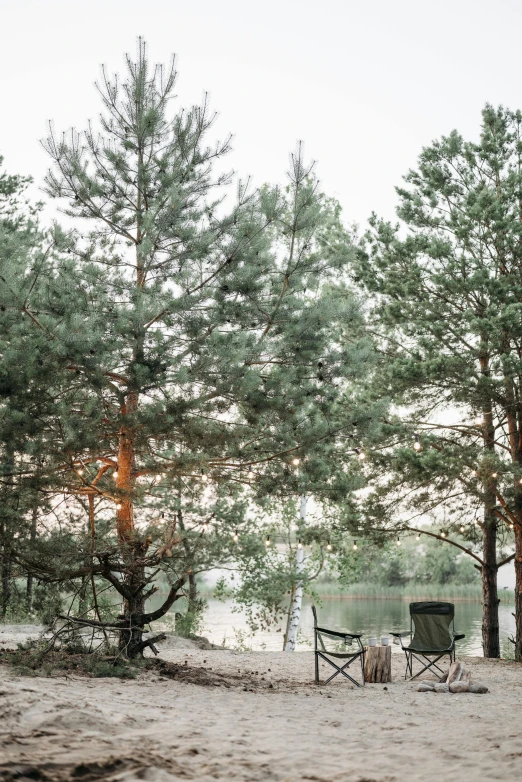 a couple of chairs sitting on top of a sandy beach, by Grytė Pintukaitė, hurufiyya, sparse pine trees, glamping, panorama shot, ((trees))