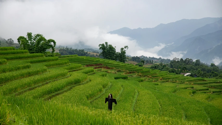 a man walking through a lush green field, inspired by Ruth Jên, pexels contest winner, sumatraism, girl standing on mountain, ao dai, avatar image, concert