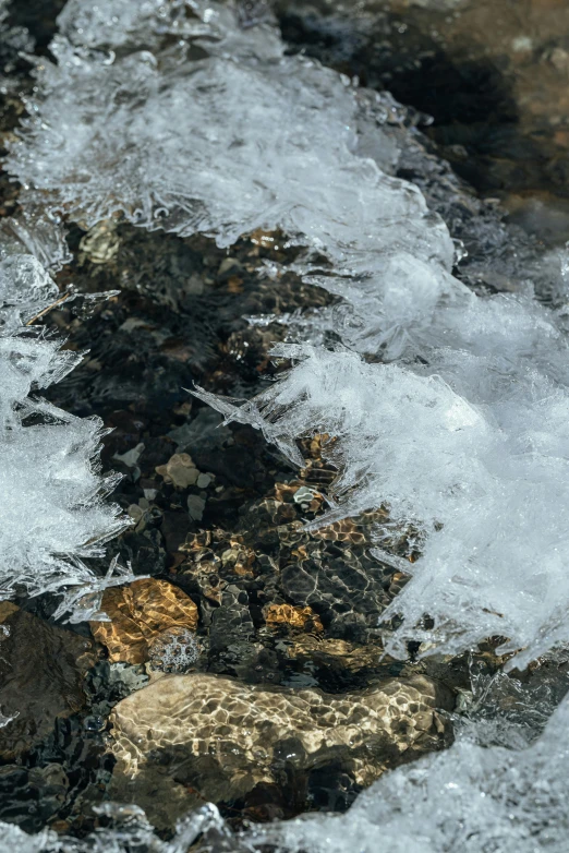 a bird that is standing on some rocks in the water, a macro photograph, by Daniel Seghers, trending on unsplash, land art, ice crystals, flowing clear water creek bed, high angle close up shot, detailed photo 8 k