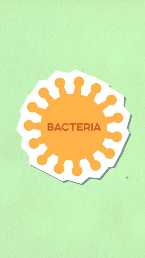 a piece of paper with the word bacteria on it, an album cover, by Rachel Reckitt, shutterstock, die - cut sticker, the sun is shining, ƒ / 3. 5, barcelona