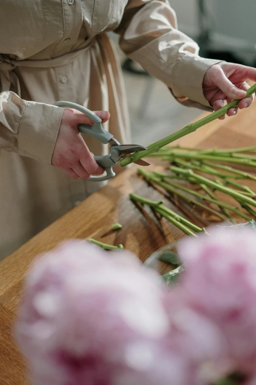 a woman cutting flowers with a pair of scissors, unsplash, arts and crafts movement, pink asparagus, fresh, floating bouquets, carnation