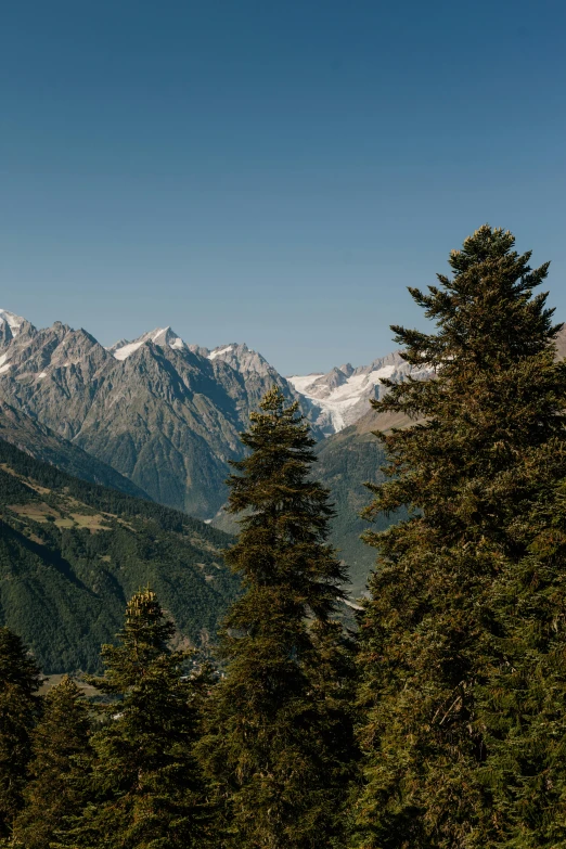 a man riding a snowboard down a snow covered slope, by Otto Meyer-Amden, trending on unsplash, les nabis, overlooking a valley with trees, summer day, trees. wide view, larapi