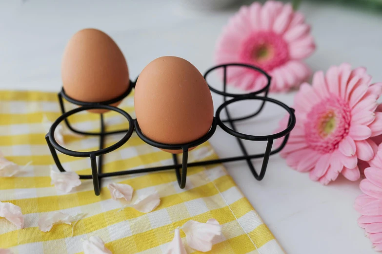 a couple of eggs sitting on top of a table, rack, black matte finish, daisy, detail shot