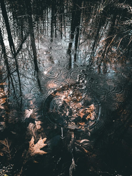 a puddle of water in the middle of a forest, inspired by Elsa Bleda, unsplash contest winner, land art, cymatics, ✨🕌🌙, promo image, hyperrealistic fall