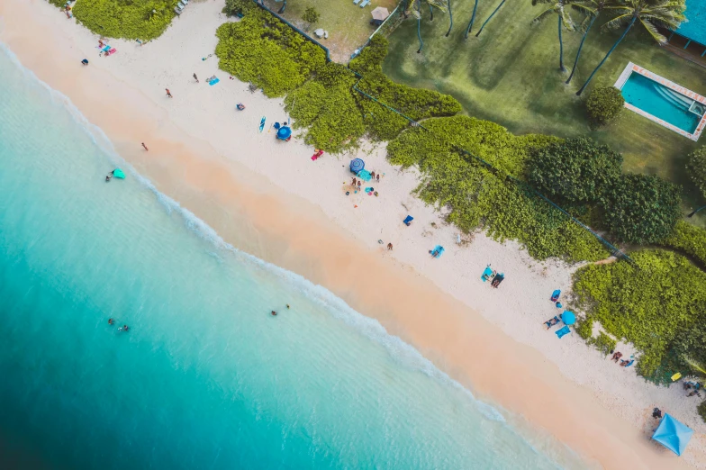 an aerial view of a beach with blue umbrellas, pexels contest winner, hurufiyya, hawaii beach, avatar image