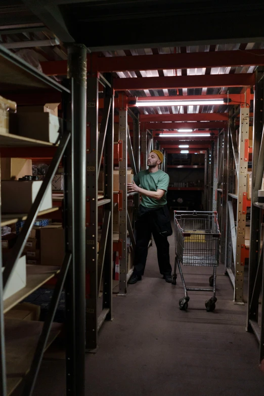 a man in a warehouse with a shopping cart, reddit, renaissance, scotland, 3 / 4 wide shot, shelves, staff