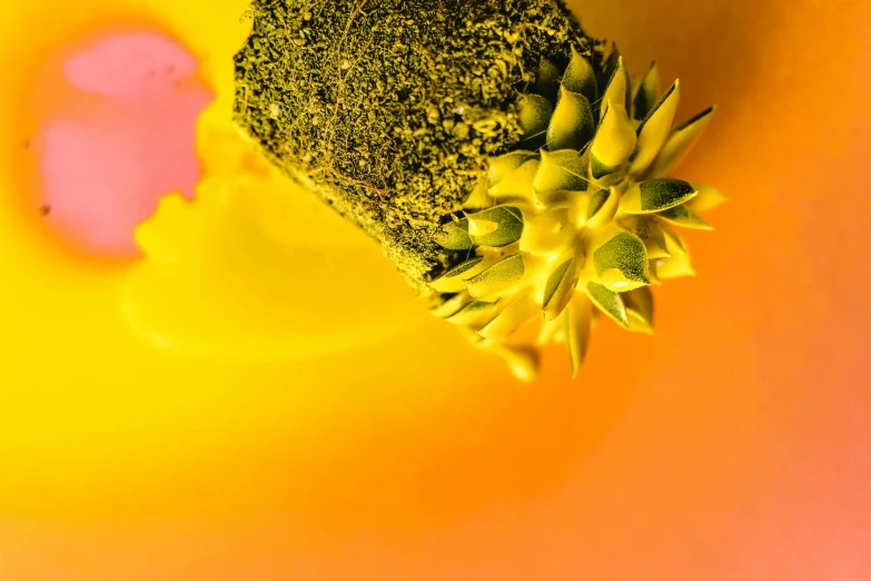 a piece of broccoli sitting on top of a yellow plate, a macro photograph, inspired by Graham Sutherland, unsplash, art photography, flowering pineapples, made of ferrofluid, splashes of neon, yellow-orange