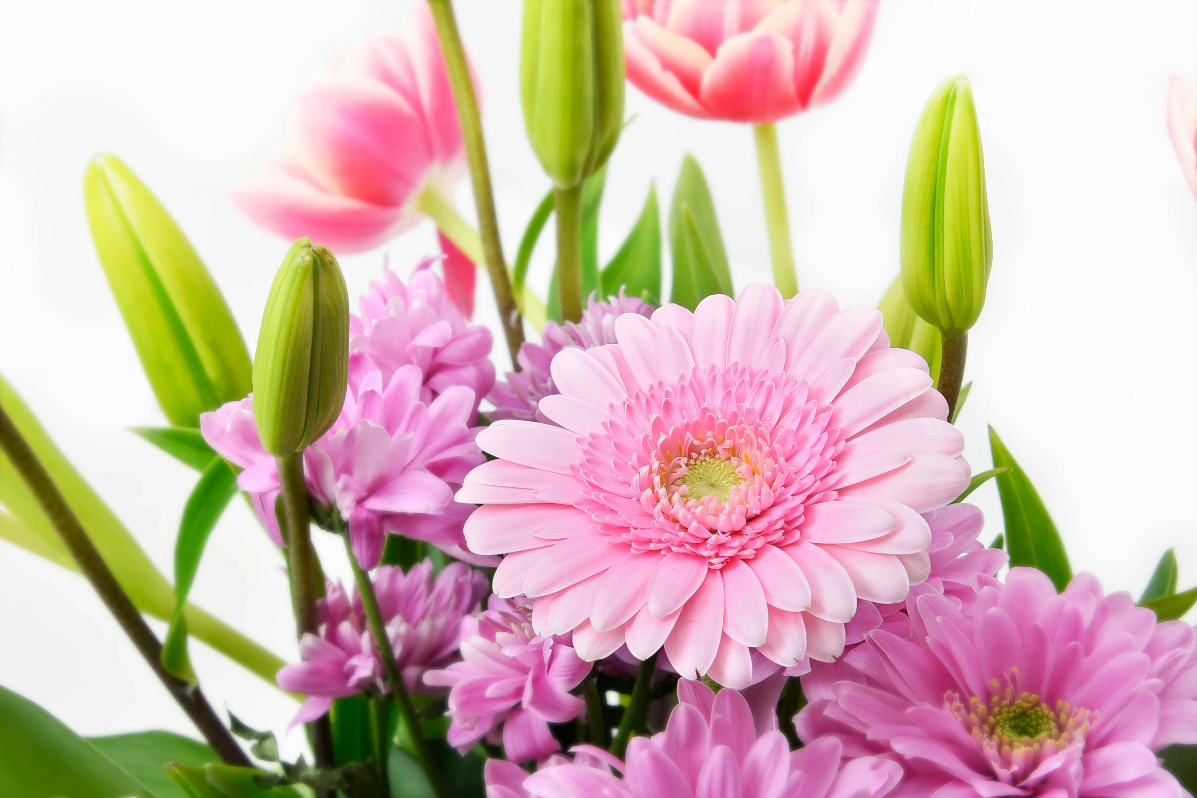 a vase filled with pink flowers on top of a table, chrysanthemum and tulips, full product shot, cheery, detail shot