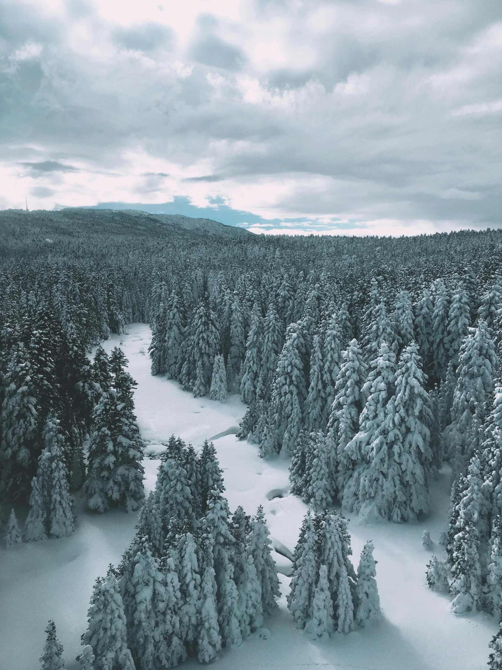 a forest filled with lots of snow covered trees, by Ryan Pancoast, pexels contest winner, the middle of a valley, evergreen valley, covered in ice, bird\'s eye view