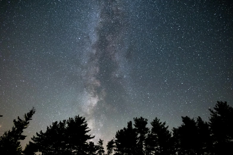 a night sky filled with lots of stars, by Andrew Domachowski, pexels, dark pine trees, the milk way up above, middle close up composition, new hampshire