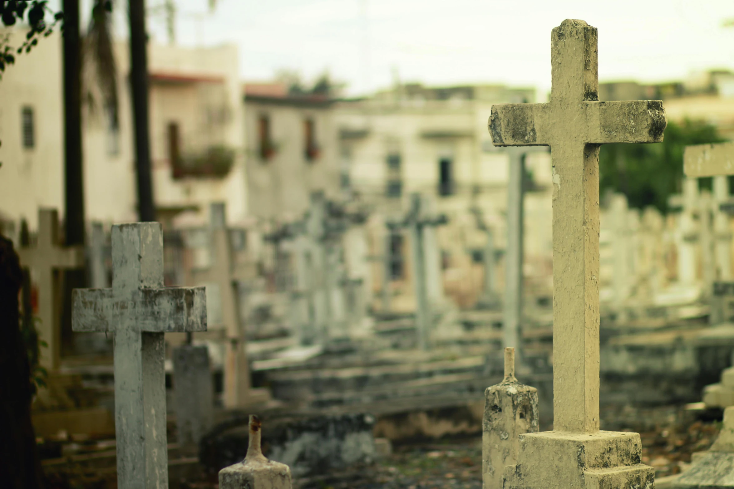 a cemetery with a cross in the middle of it, a colorized photo, by Elsa Bleda, unsplash, fan favorite, puerto rico, corpses, cityscape