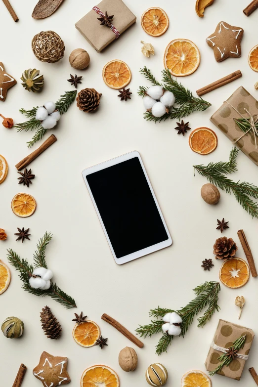 a cell phone surrounded by christmas decorations, trending on pexels, folk art, square, white-space-surrounding, 5k, fruit