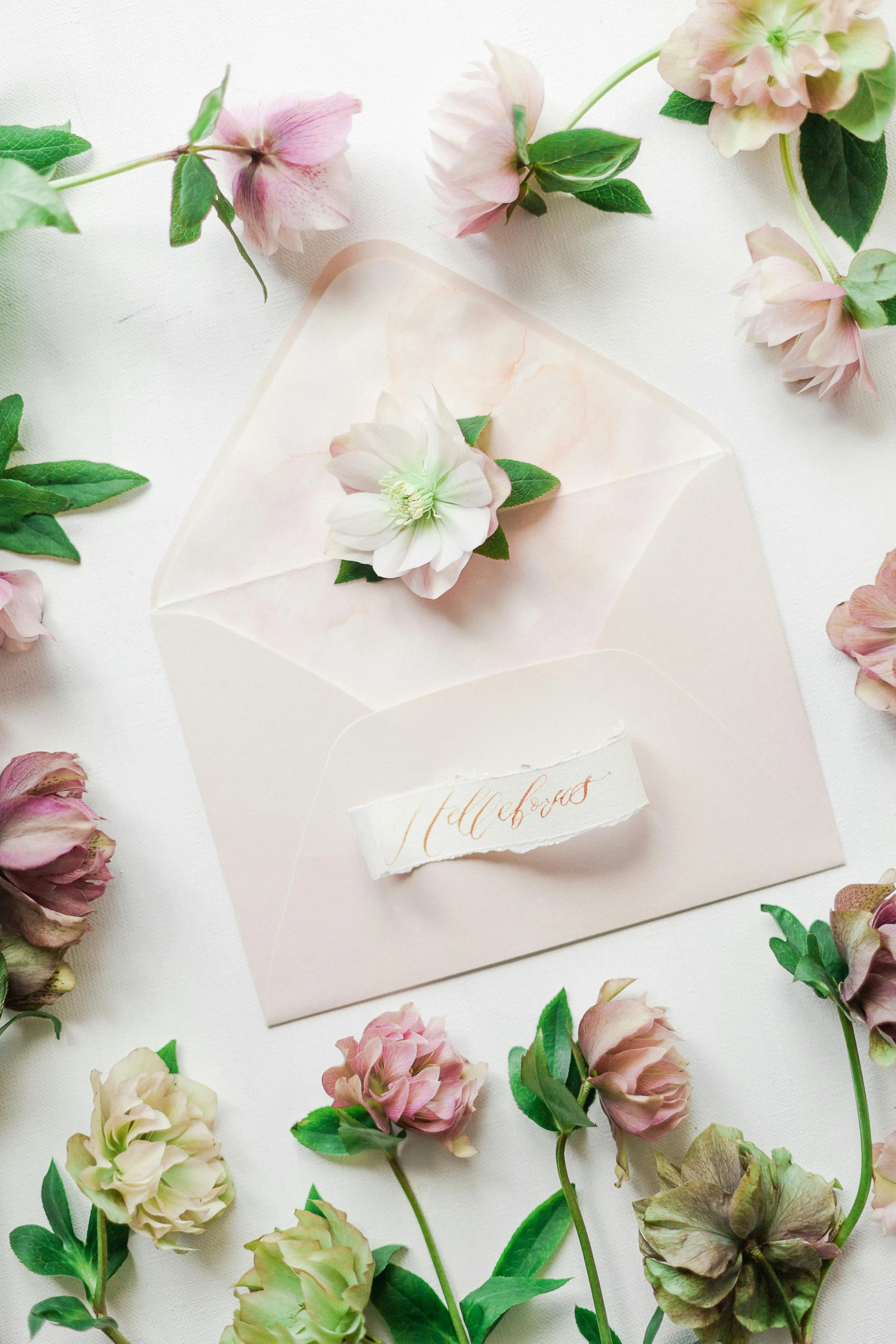 a pink envelope surrounded by flowers on a white surface, inspired by Eden Box, romanticism, light cream and white colors, motherly, a labeled, detail shot