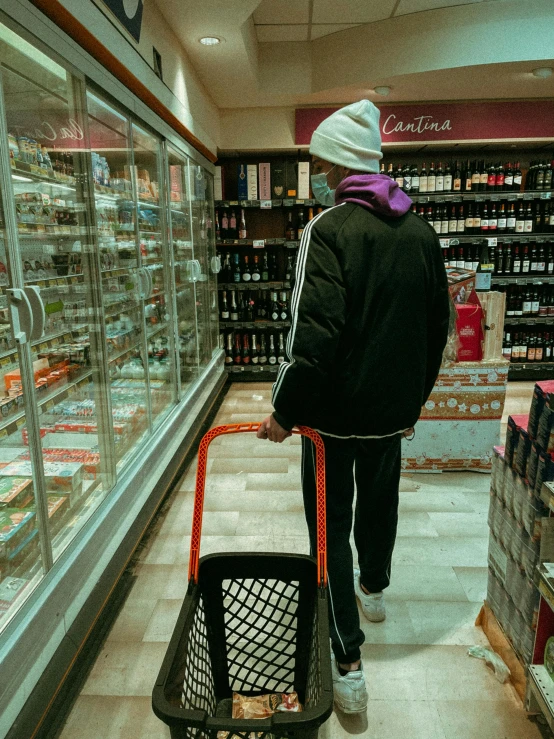 a woman pushing a shopping cart through a store, by Raphaël Collin, pexels contest winner, hyperrealism, young man in a purple hoodie, wine cellar full of food, full body profile, lo fi