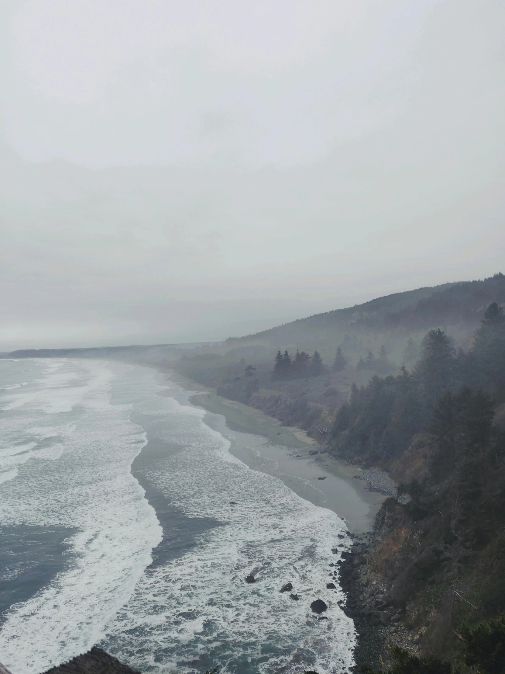 a view of the ocean from the top of a hill, foggy water, grey forest in the background, towering waves, depressing image