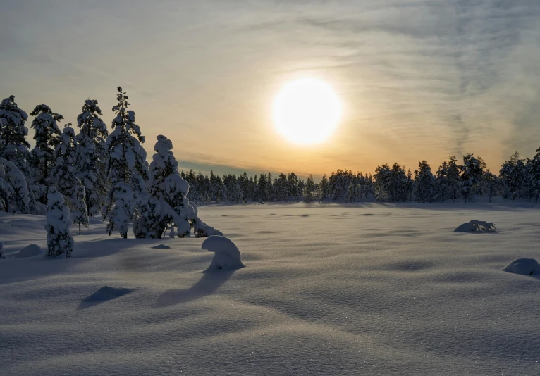 the sun is setting over a snow covered field, by Anton Lehmden, pexels contest winner, spruce trees, eero aarnio, sunny mid day, grey