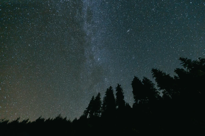 a night sky filled with lots of stars, trending on unsplash, dark pine trees, 2 5 6 x 2 5 6 pixels, pacific northwest, the milk way up above