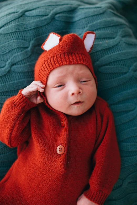 a baby wearing a red sweater and a fox hat, an album cover, inspired by Anne Geddes, pexels, symbolism, caspar david, cardigan, avatar image, instagram photo