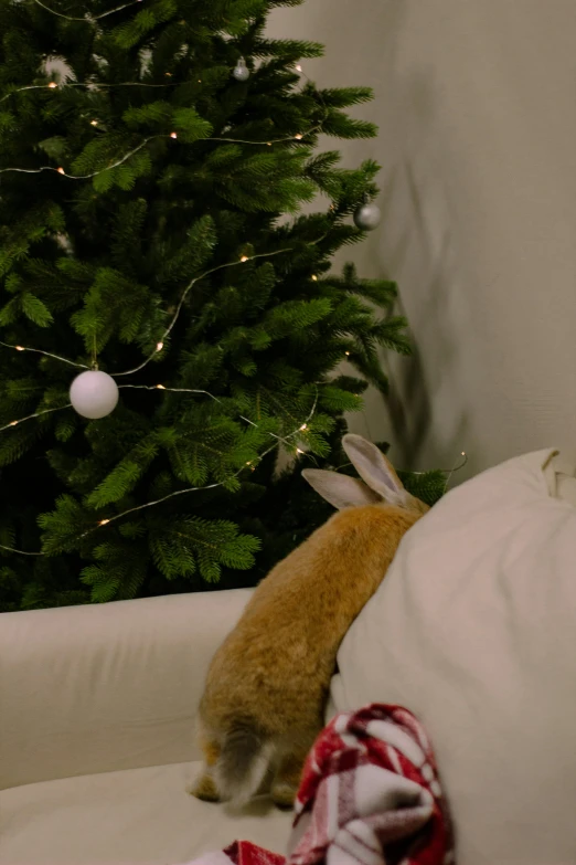 a teddy bear sitting on a couch next to a christmas tree, white rabbit, string lights, close up angle, bun )