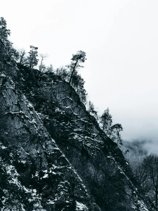 a black and white photo of a snowy mountain, a black and white photo, inspired by Oluf Høst, pexels contest winner, romanticism, trees and cliffs, rich cold moody colours, dangerous cliffside, jagged metal landscape