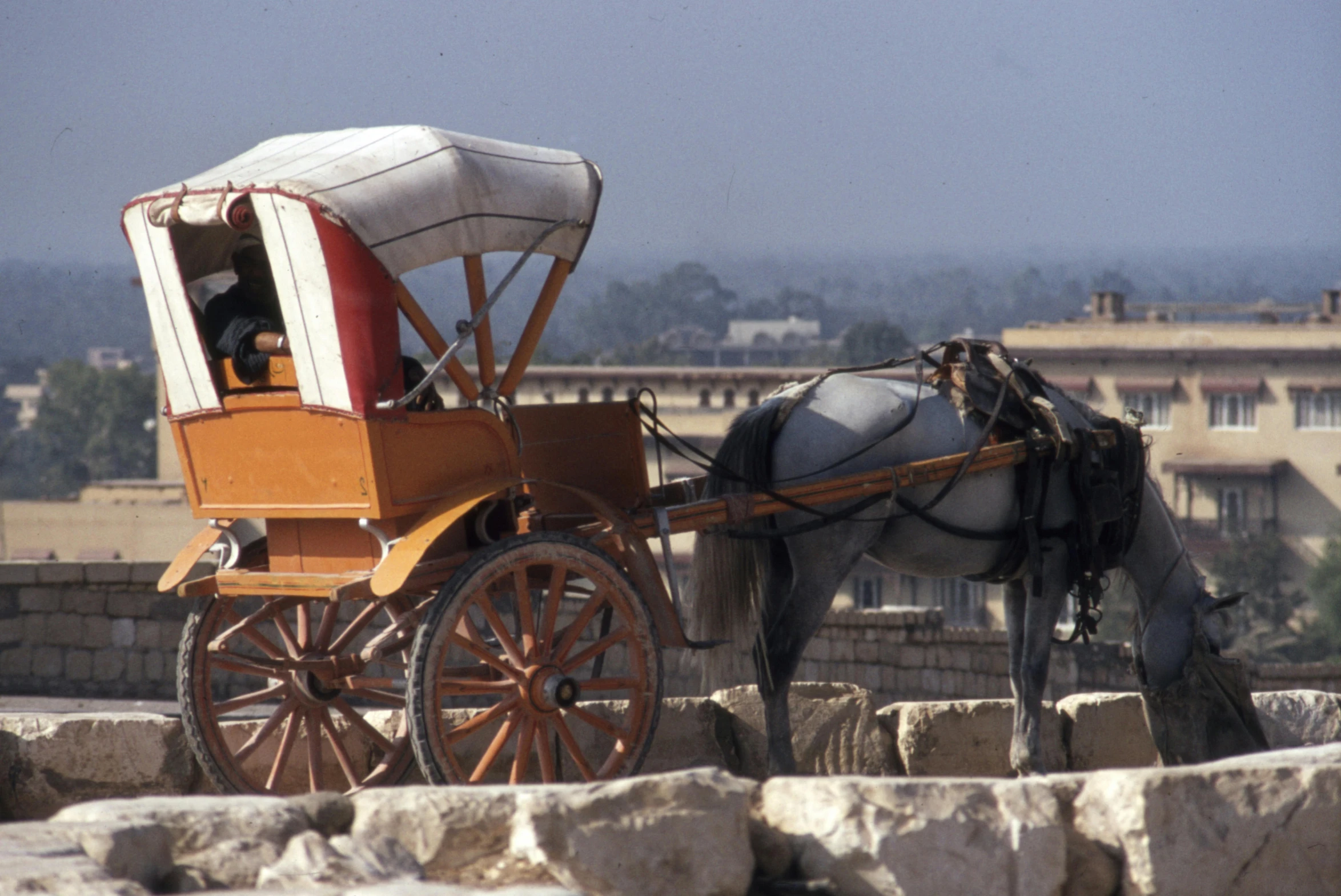 a horse pulling a carriage on top of a stone wall, amr elshamy, at an ancient city, fan favorite, market