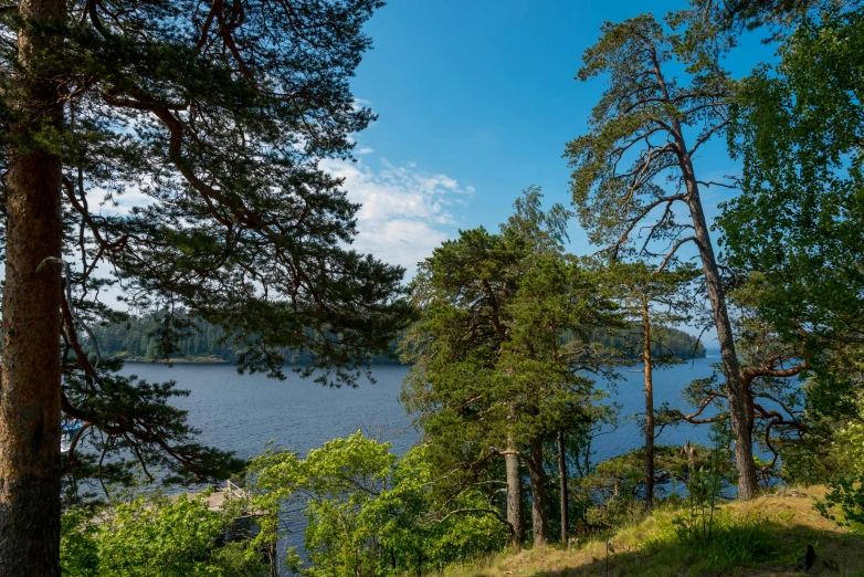 a bench sitting on top of a lush green hillside, a picture, by Eero Järnefelt, hurufiyya, wide river and lake, tall pine trees, slide show, multiple stories