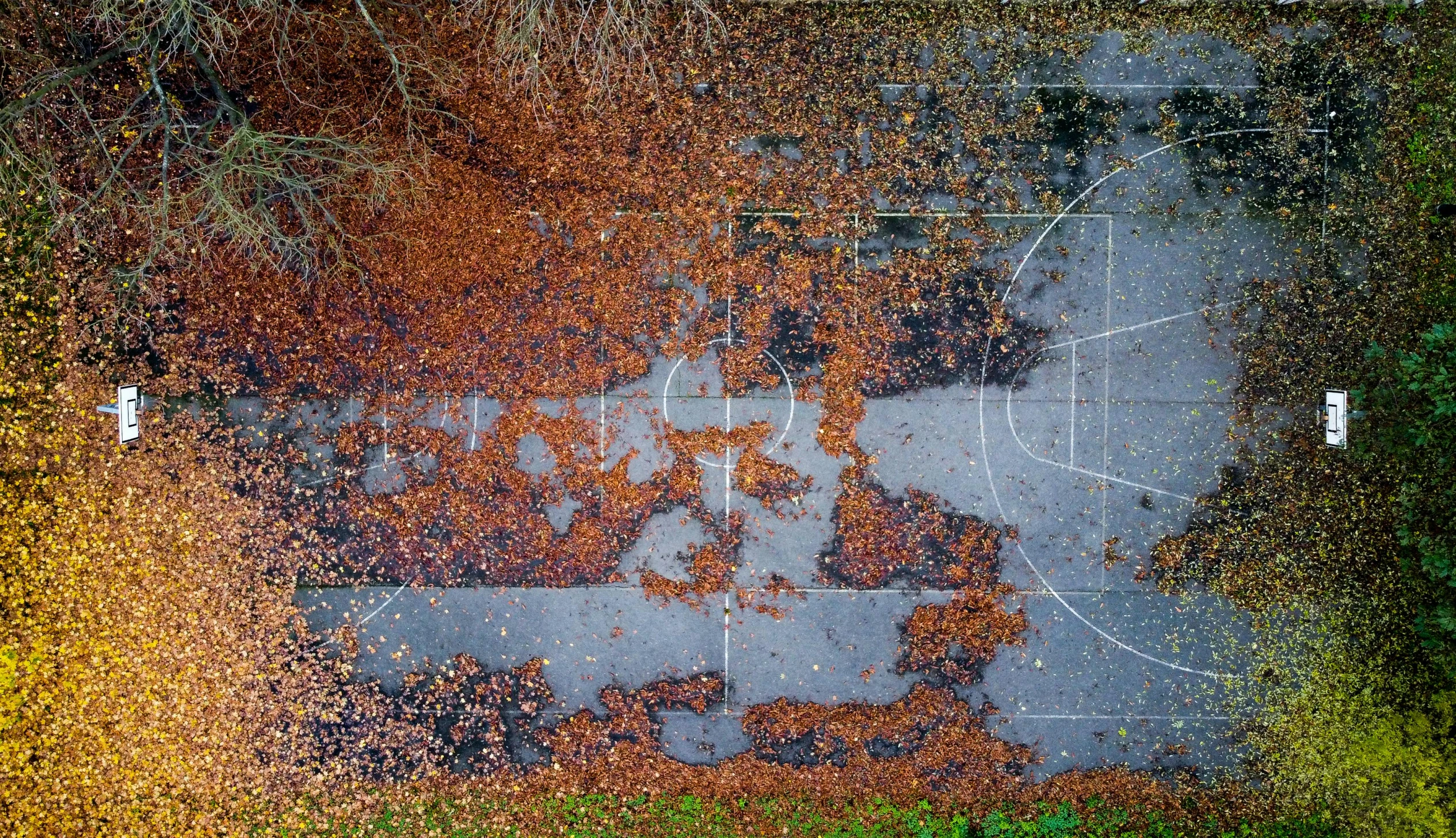 an aerial view of a basketball court surrounded by trees, a mosaic, by Jan Rustem, dribble, conceptual art, covered in fallen leaves, phone photo, ((rust)), shot on sony a 7