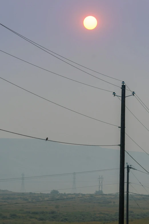 the sun is setting over a field with power lines, by Linda Sutton, postminimalism, very smoky, crows, low quality photo, smog