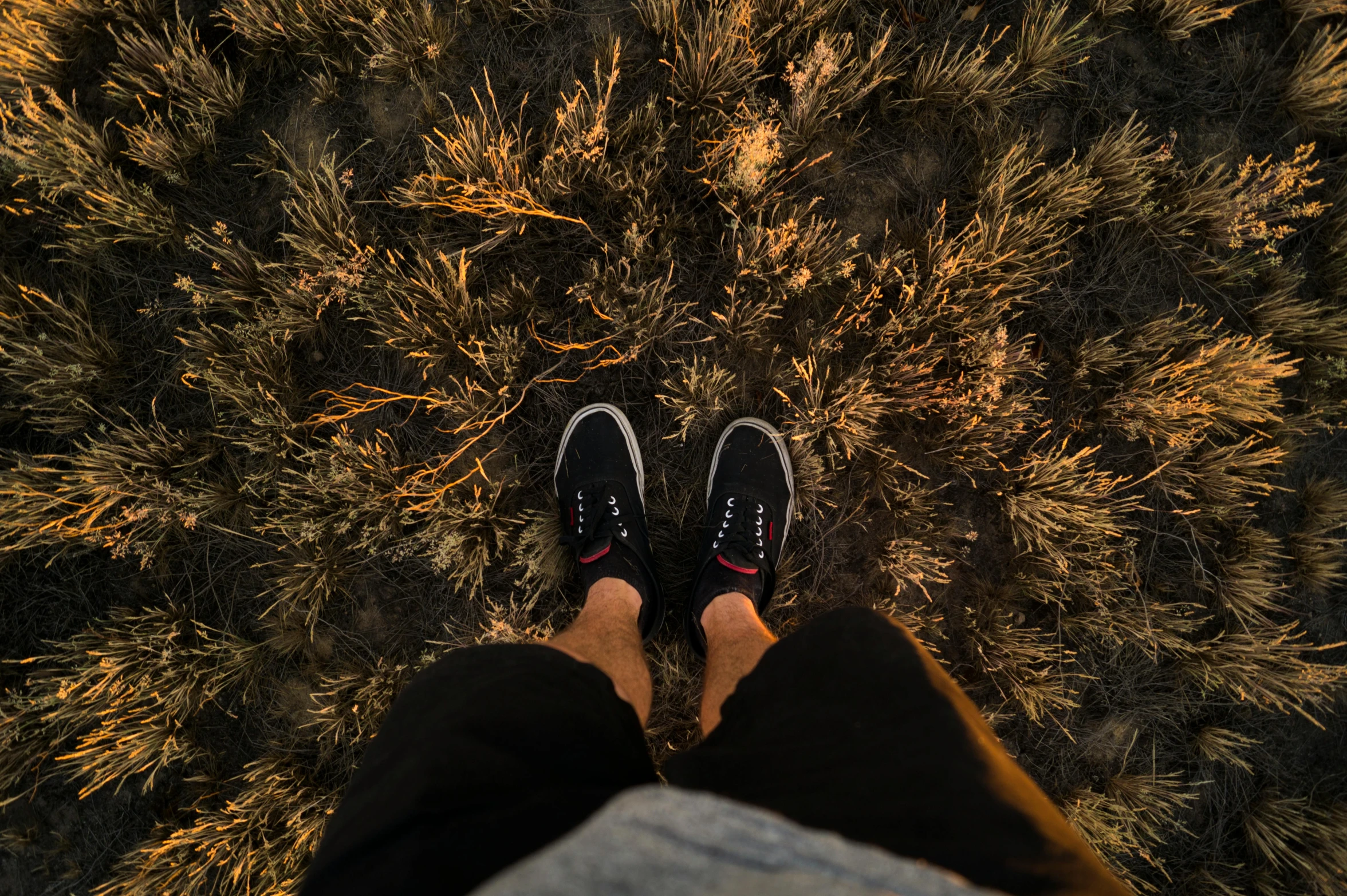 a person standing on top of a grass covered field, by Matt Cavotta, unsplash contest winner, realism, running shoes, poorly lit, wide high angle view, avatar image