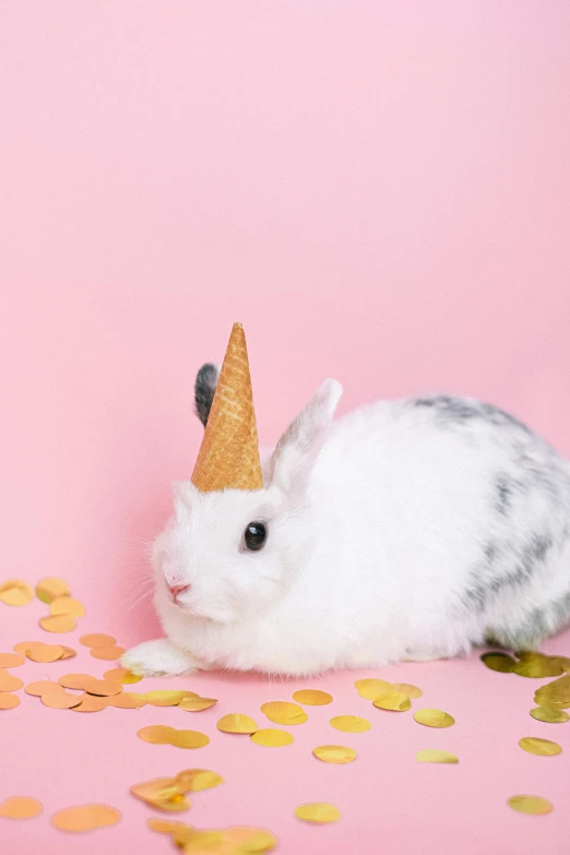 a small rabbit with an ice cream cone on its head, by Julia Pishtar, shutterstock contest winner, magic realism, unicorn horn, studio photo, rinko kawauchi, wearing a party hat