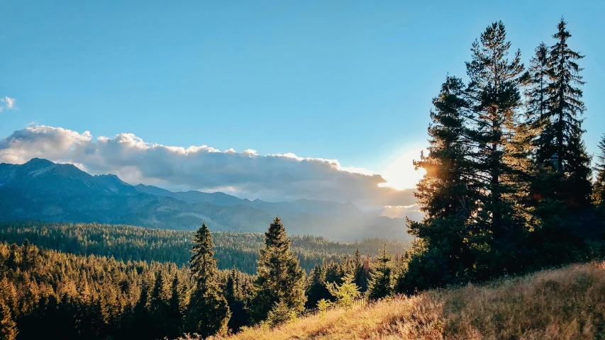 the sun shines through the clouds over the mountains, by Alexander Runciman, unsplash contest winner, romanticism, pine trees in the background, late summer evening, 🌲🌌, panoramic view