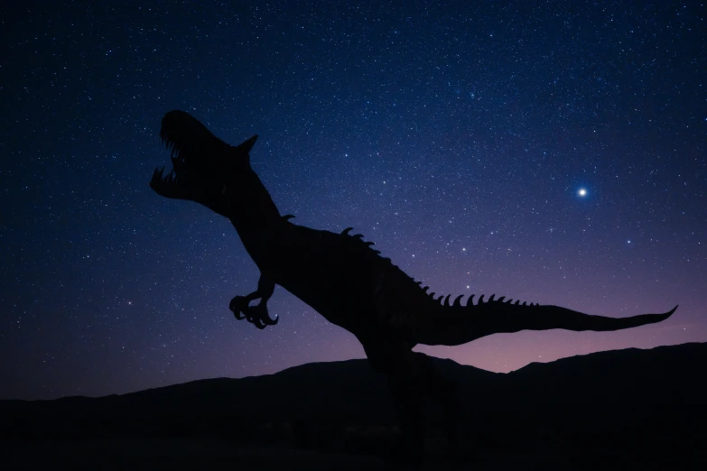 a dinosaur silhouetted against the night sky, pexels contest winner, striking pose, tyrannosarus rex, real life size, megalophoba