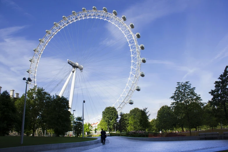 a large ferris wheel sitting in the middle of a park, london streets in background, 2022 photograph, ultrawide lens”