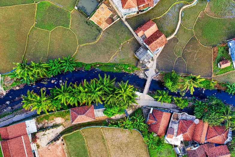 a river running through a lush green countryside, by Daniel Lieske, pexels contest winner, tiled roofs, coconut trees, top down view, 🦩🪐🐞👩🏻🦳