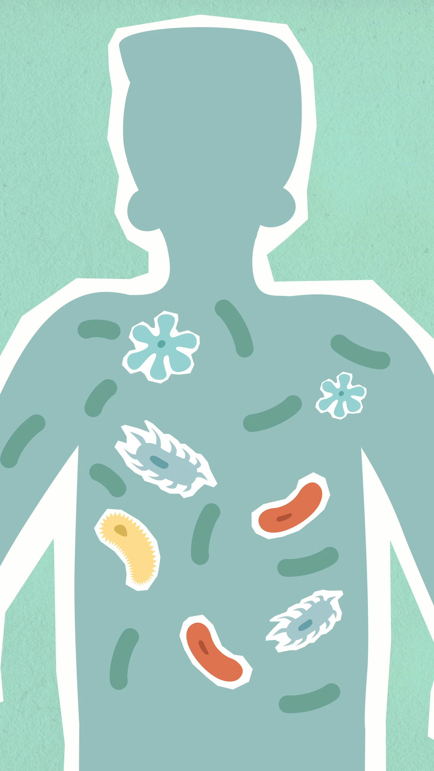 a drawing of a man with food all over his body, an illustration of, marine microbiology, getty images, clean design, translucent body