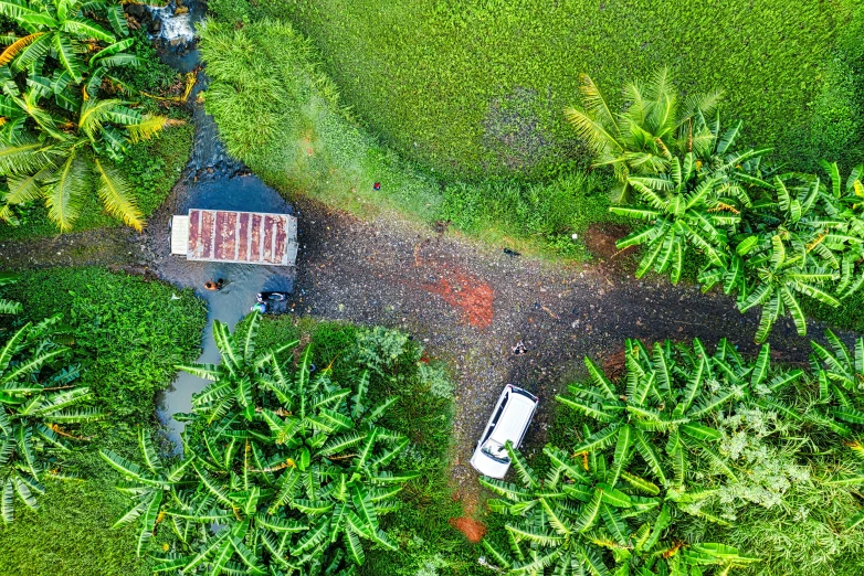 a car driving down a dirt road next to a lush green field, by Daniel Lieske, hurufiyya, kerala village, birds - eye view, thumbnail, leaking
