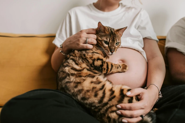 a pregnant woman sitting on a couch holding a cat, pexels contest winner, exploded belly, avatar image, male and female, close body shot