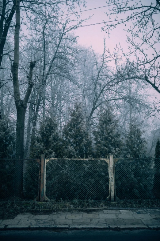 a fence that is in front of some trees, an album cover, inspired by Elsa Bleda, unsplash contest winner, gray fog, on a soccer field, winter forest, ((trees))