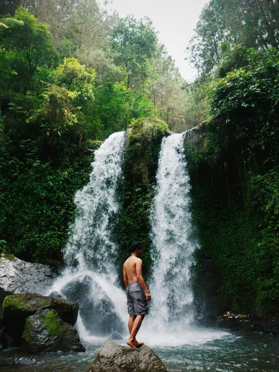 a man standing on a rock in front of a waterfall, a picture, by Bernardino Mei, sumatraism, back facing the camera, lush forests, front and back view, highly upvoted